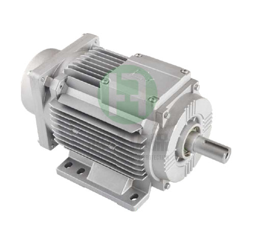 Explosion proof motor